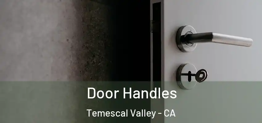  Door Handles Temescal Valley - CA