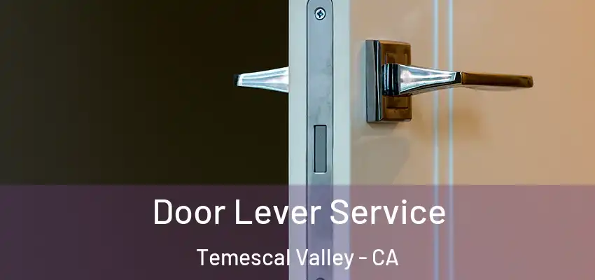  Door Lever Service Temescal Valley - CA